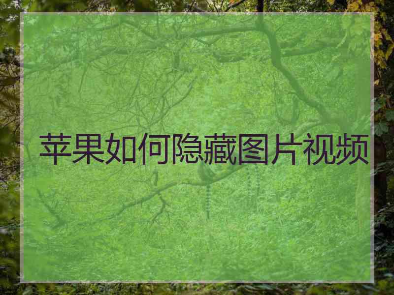 苹果如何隐藏图片视频