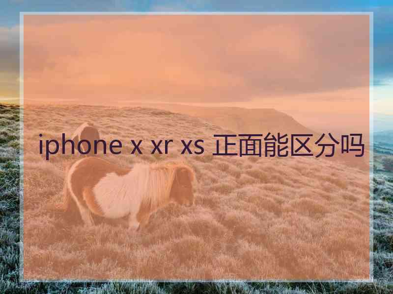 iphone x xr xs 正面能区分吗