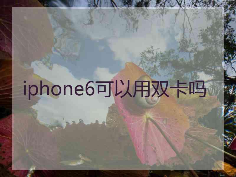 iphone6可以用双卡吗