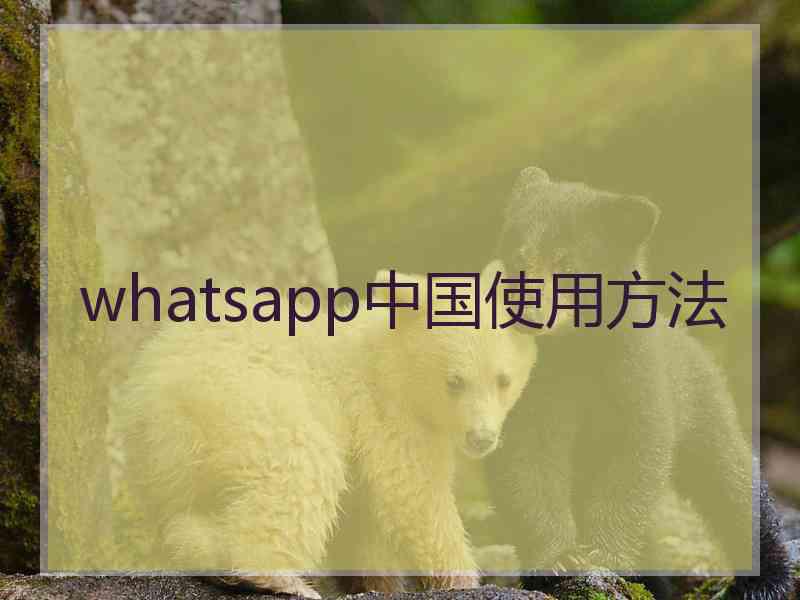 whatsapp中国使用方法