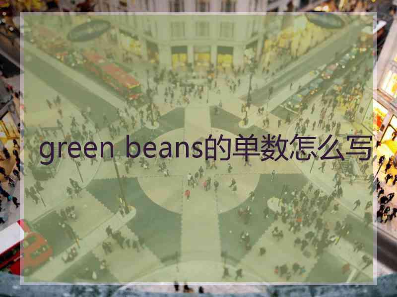 green beans的单数怎么写