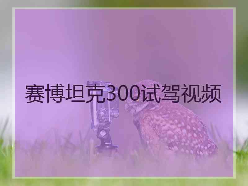 赛博坦克300试驾视频