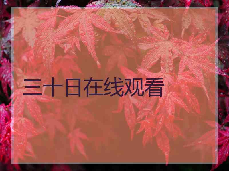 三十日在线观看