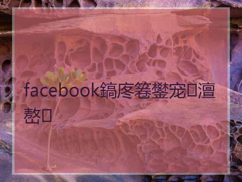 facebook鎬庝箞鐢宠澶嶅