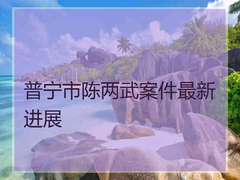 普宁市陈两武案件最新进展