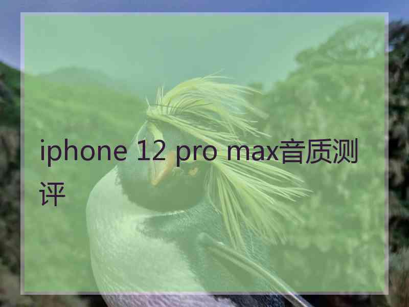 iphone 12 pro max音质测评