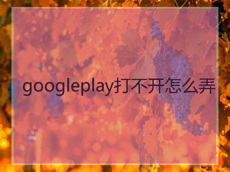 googleplay打不开怎么弄