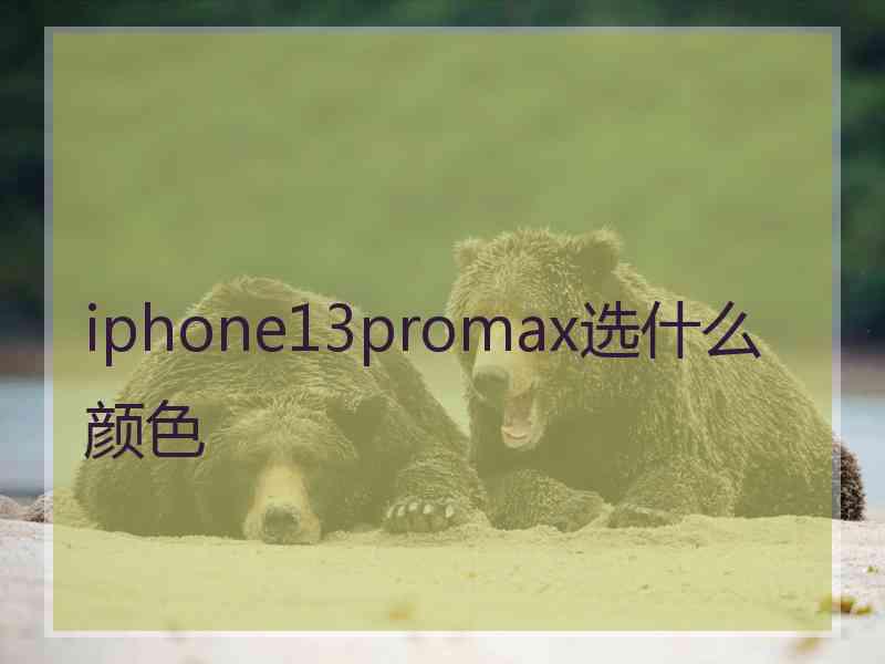 iphone13promax选什么颜色