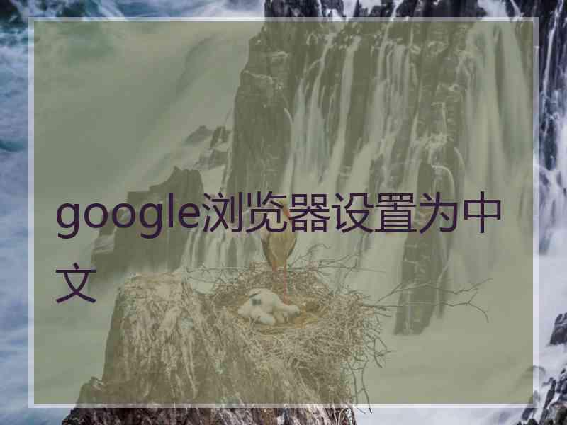 google浏览器设置为中文