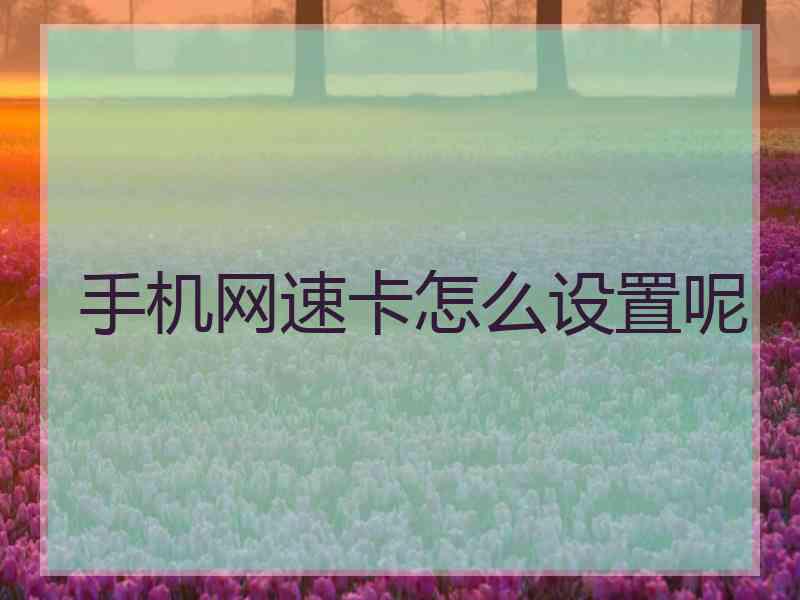 手机网速卡怎么设置呢