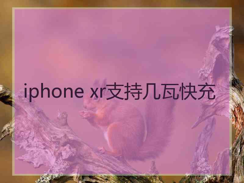 iphone xr支持几瓦快充