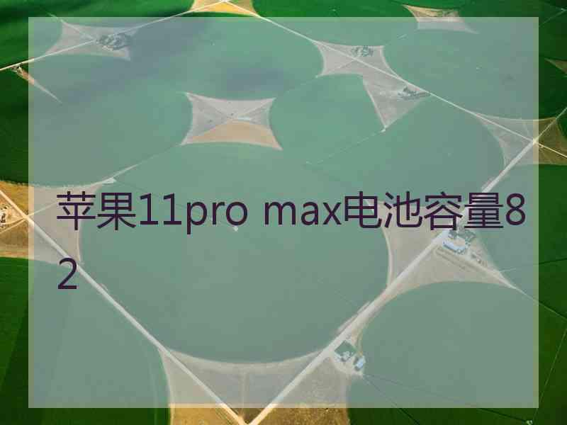 苹果11pro max电池容量82