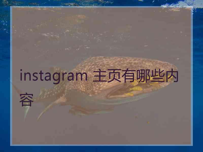 instagram 主页有哪些内容