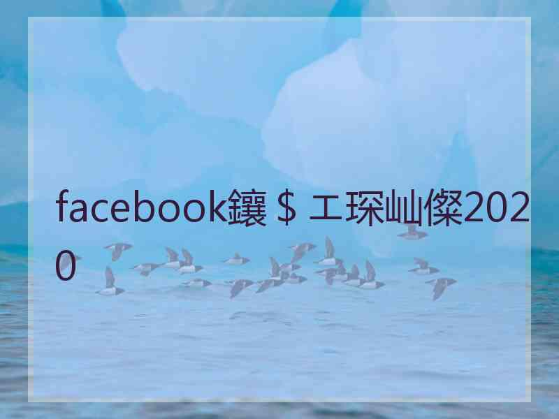 facebook鑲＄エ琛屾儏2020