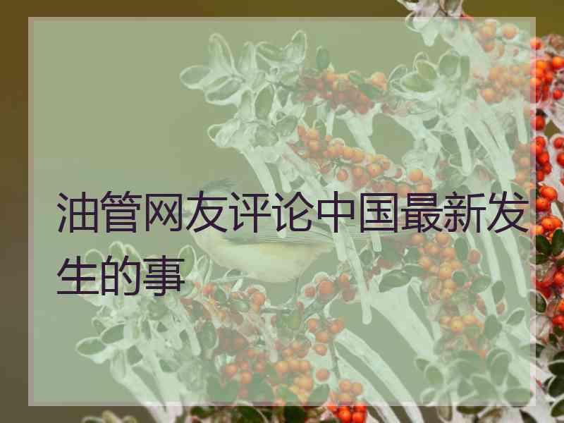 油管网友评论中国最新发生的事