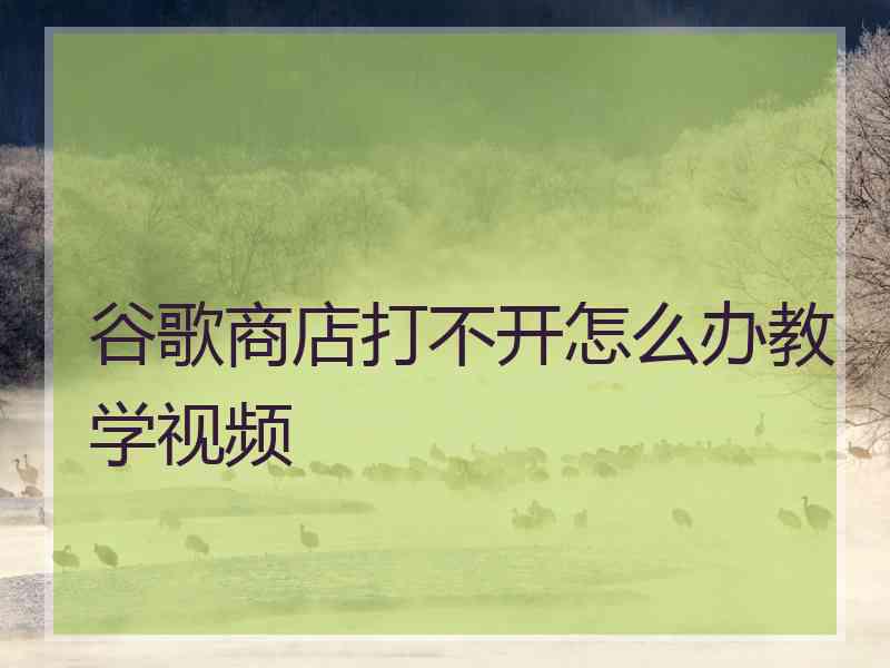 谷歌商店打不开怎么办教学视频