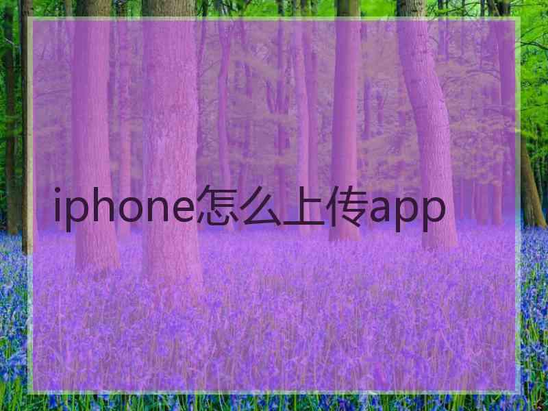 iphone怎么上传app