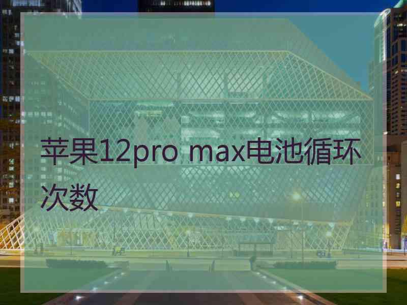 苹果12pro max电池循环次数