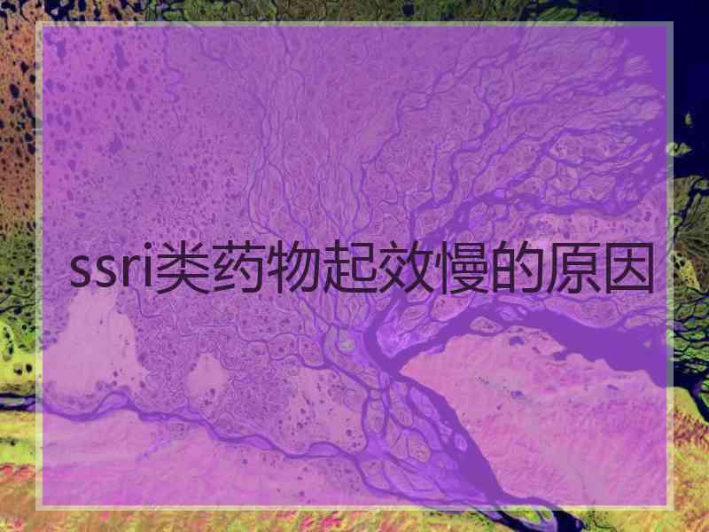 ssri类药物起效慢的原因