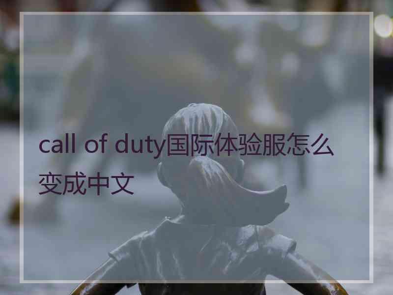 call of duty国际体验服怎么变成中文