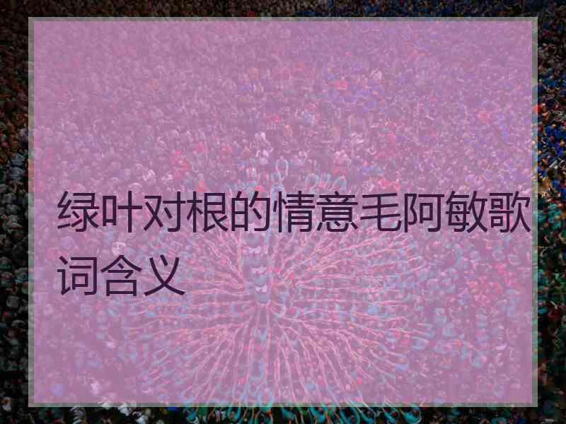 绿叶对根的情意毛阿敏歌词含义