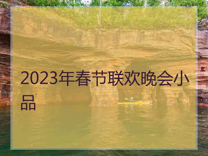 2023年春节联欢晚会小品