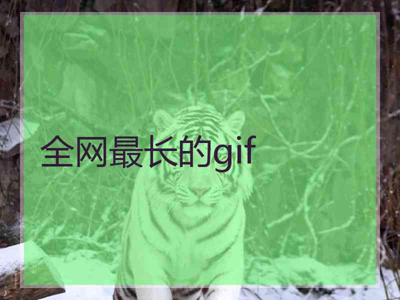 全网最长的gif