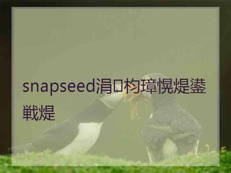 snapseed涓枃璋愰煶鍙戦煶