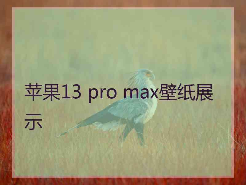 苹果13 pro max壁纸展示