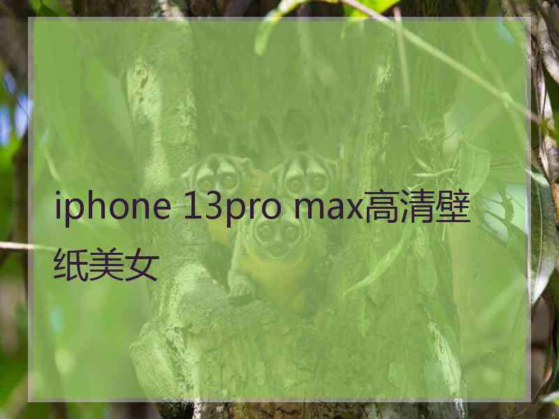 iphone 13pro max高清壁纸美女