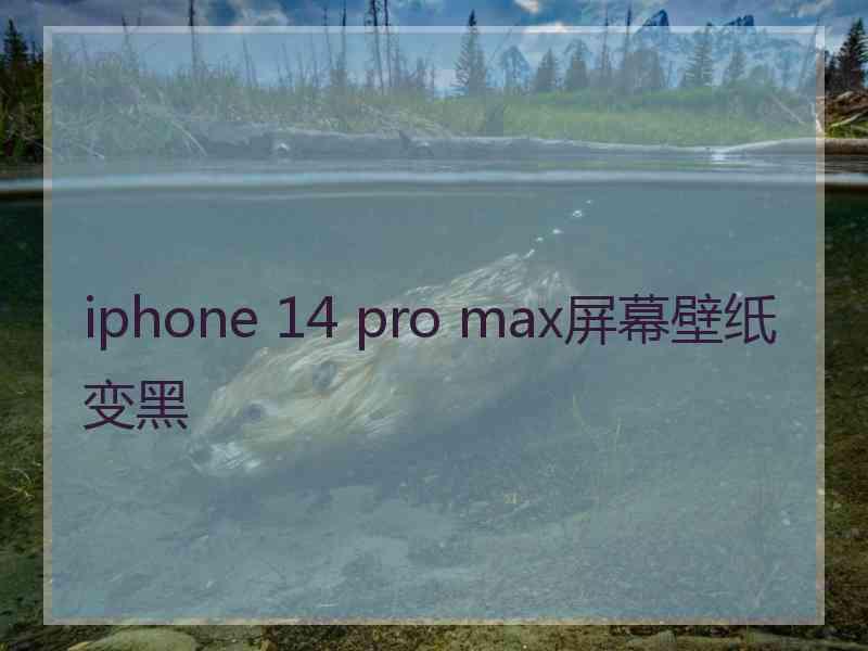 iphone 14 pro max屏幕壁纸变黑