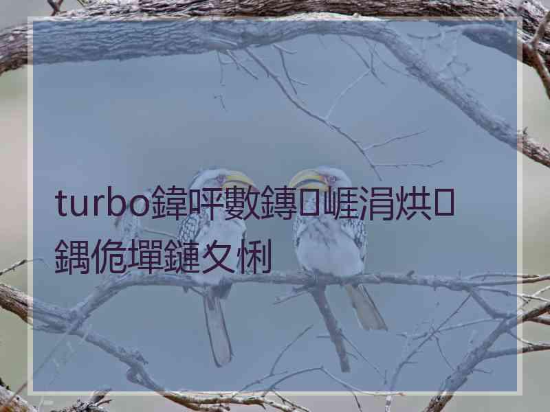 turbo鍏呯數鏄崕涓烘鍝佹墠鏈夊悧