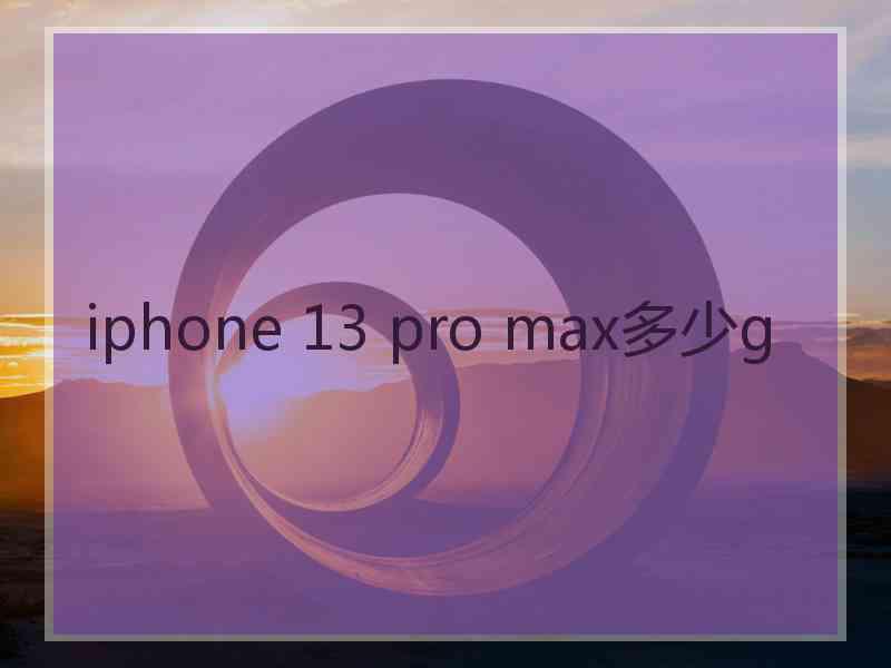 iphone 13 pro max多少g