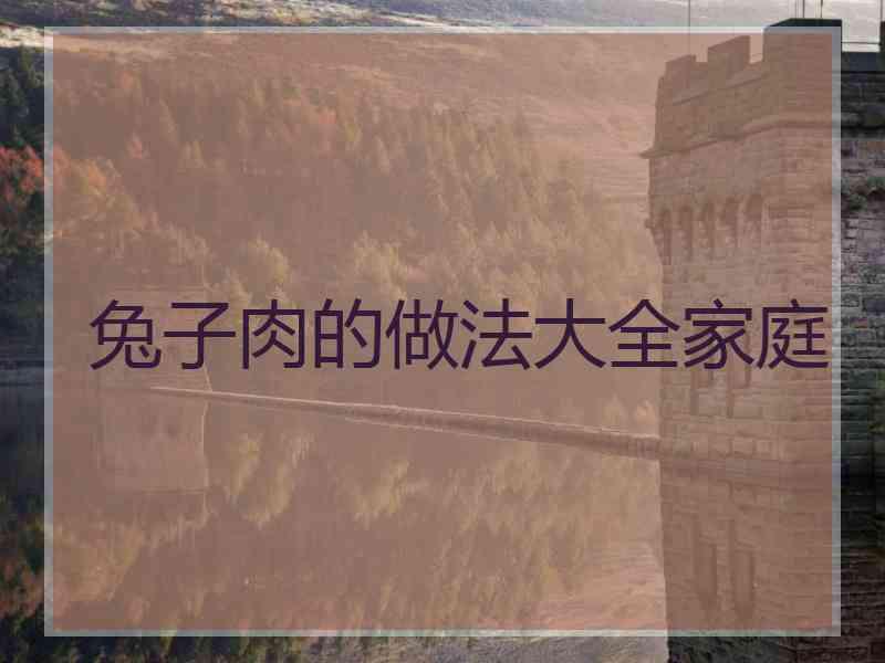 兔子肉的做法大全家庭
