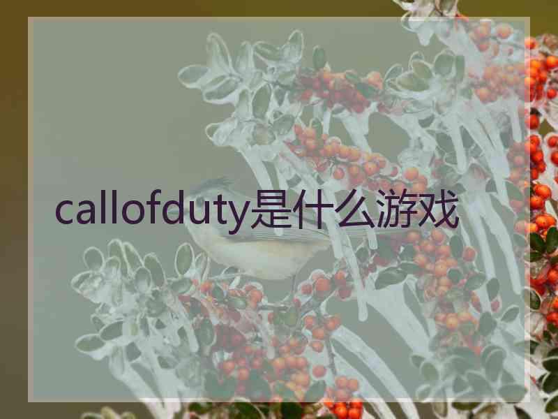 callofduty是什么游戏