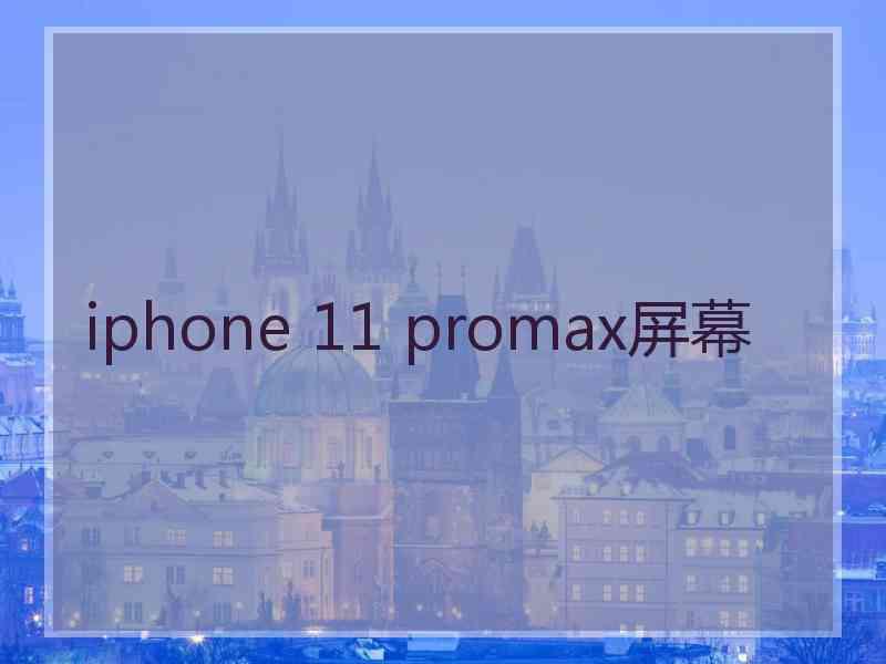 iphone 11 promax屏幕