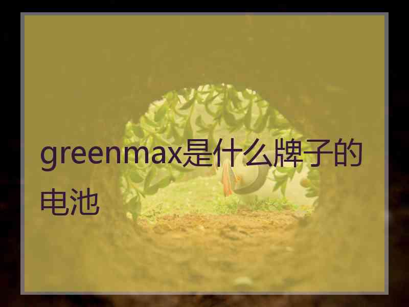 greenmax是什么牌子的电池