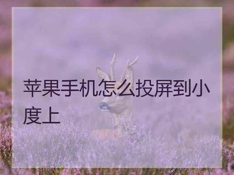 苹果手机怎么投屏到小度上