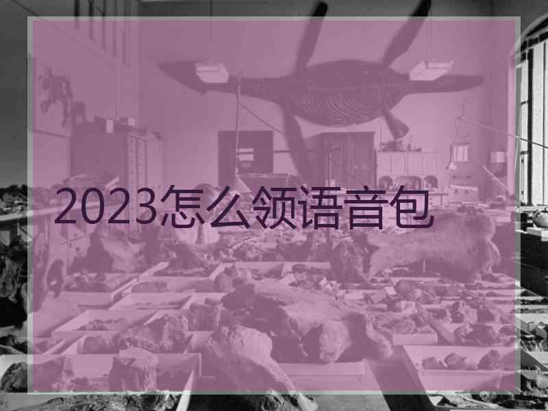 2023怎么领语音包