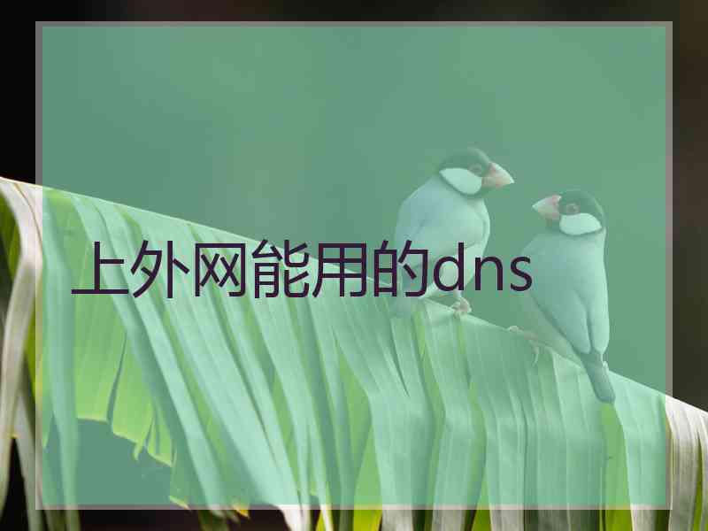 上外网能用的dns