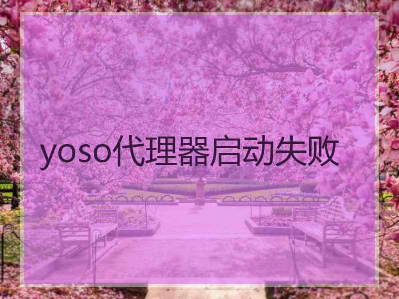 yoso代理器启动失败