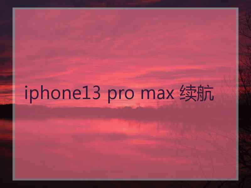 iphone13 pro max 续航