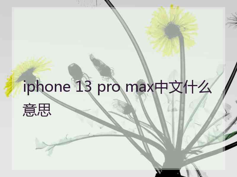 iphone 13 pro max中文什么意思