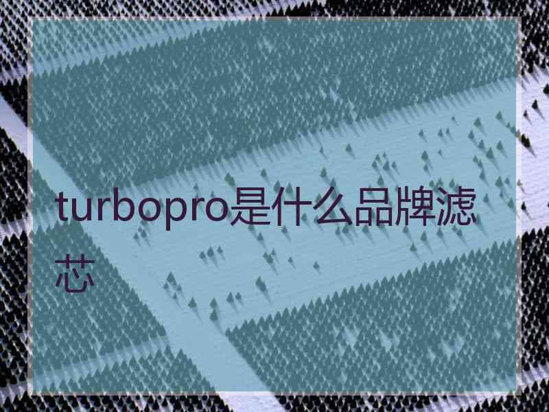 turbopro是什么品牌滤芯