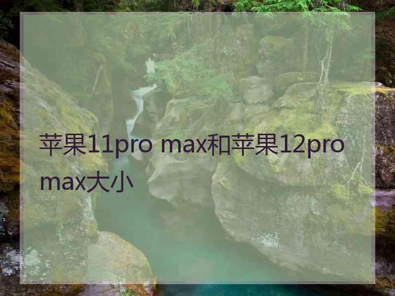 苹果11pro max和苹果12promax大小