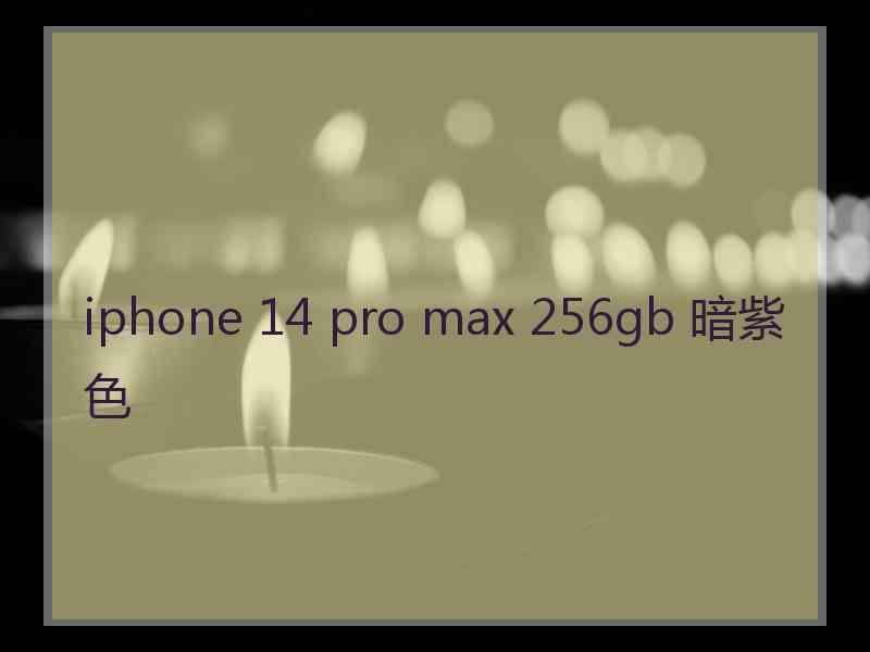 iphone 14 pro max 256gb 暗紫色