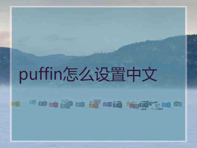 puffin怎么设置中文