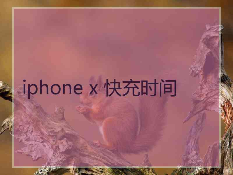 iphone x 快充时间