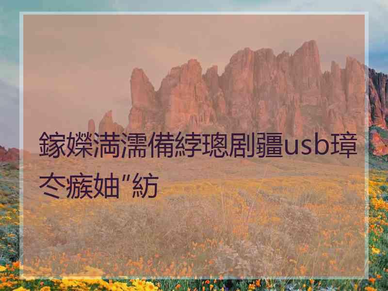 鎵嬫満濡備綍璁剧疆usb璋冭瘯妯″紡