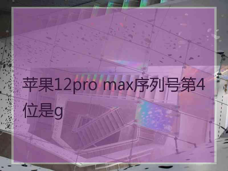 苹果12pro max序列号第4位是g